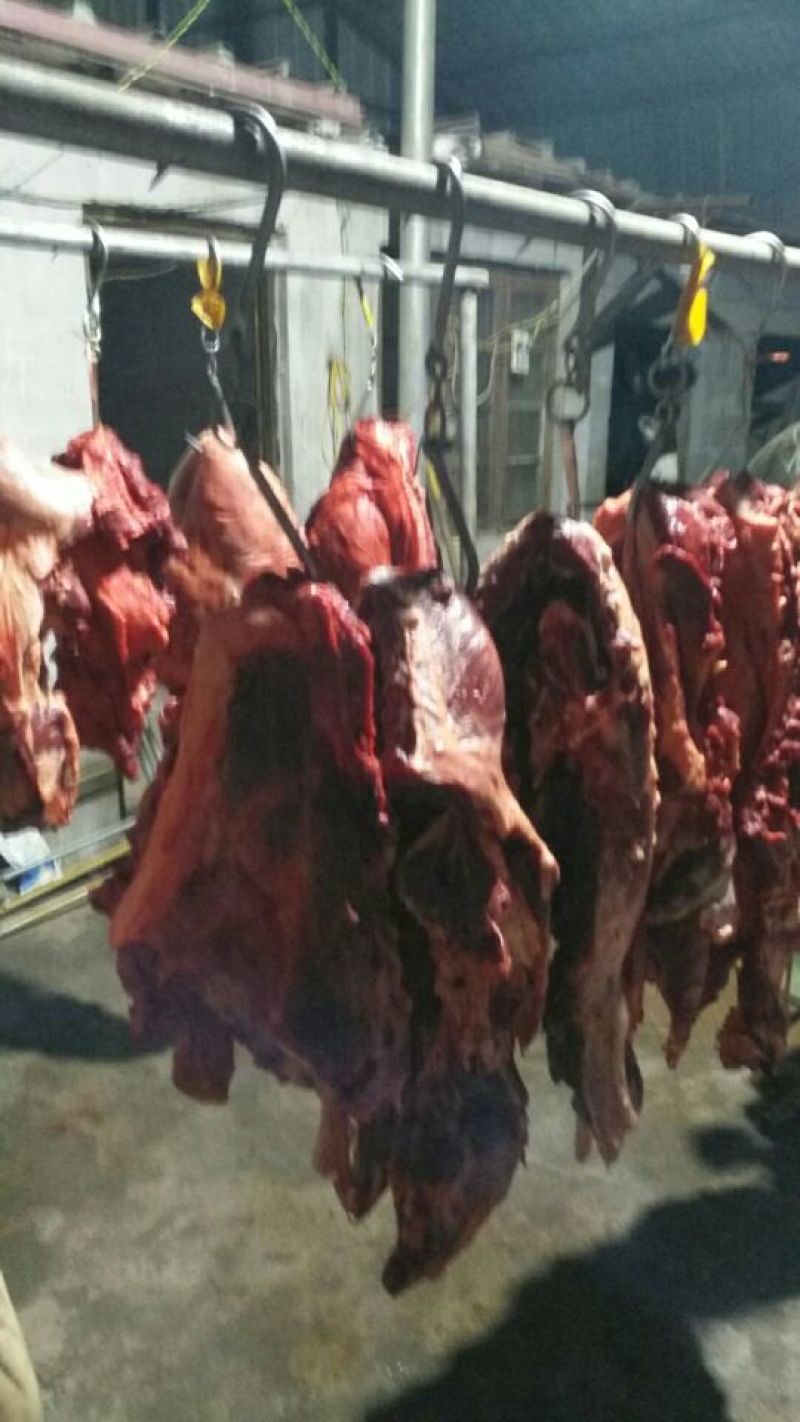 驴肉鲜货价真价实现杀现卖量大优惠欢迎电话联系合作