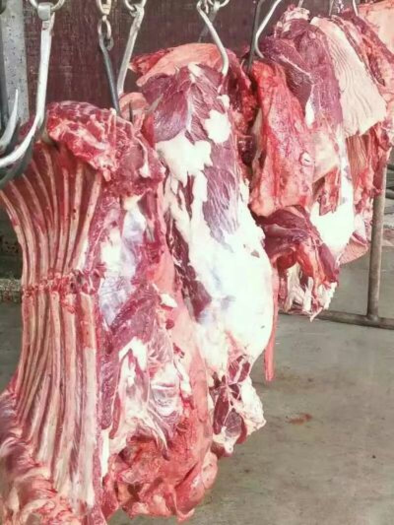 驴肉鲜货价真价实现杀现卖量大优惠欢迎电话联系合作
