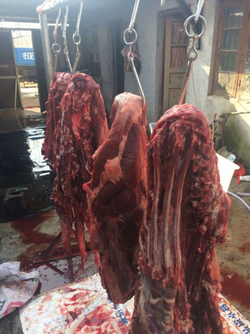 驴肉鲜货价真价实现杀现卖量大优惠欢迎电话联系合作
