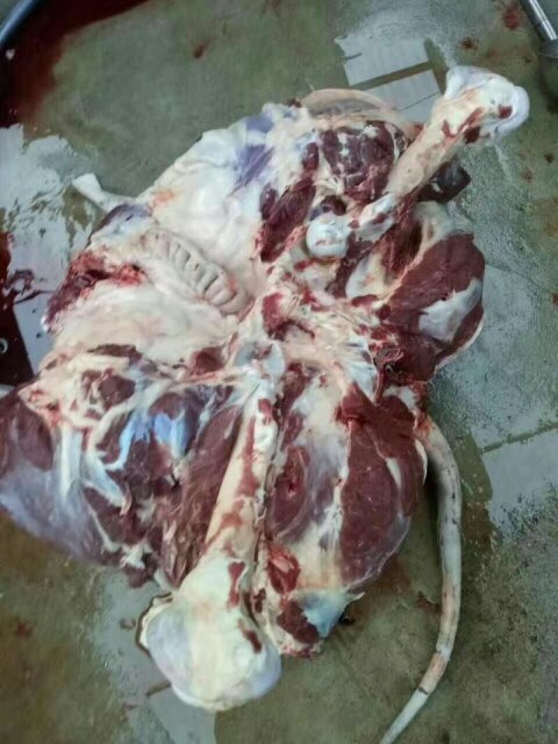 驴肉鲜货，真空包装驴肉。