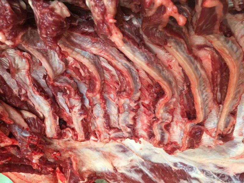 驴肉鲜货，真空包装驴肉。