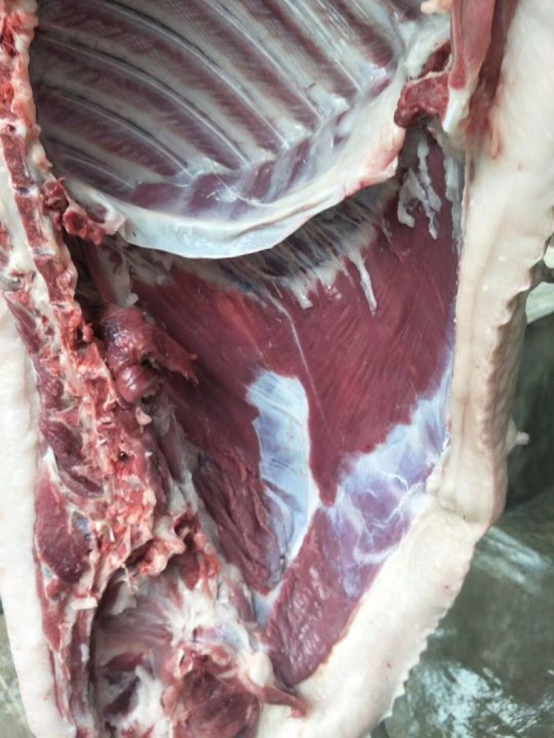 猪肉原生态香猪肉