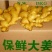 大黄姜地窖出姜质量好