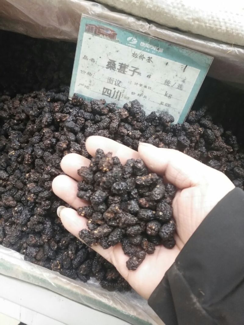 桑椹子天津1公斤起批无硫***不包邮