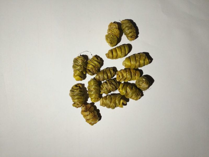 铁皮石斛云南省100g起批无硫无添加胶质多化渣干净包邮