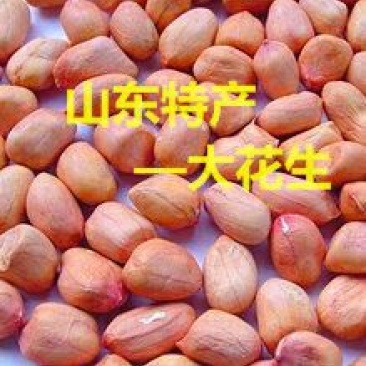 鲁花花生米红皮一级精选花生米好货