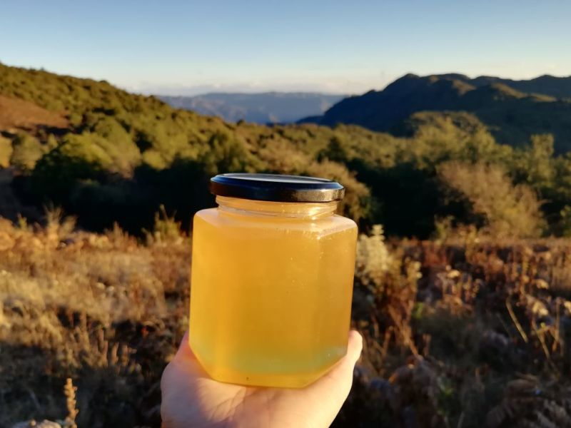 土蜂蜜云南原始森林土蜂蜜