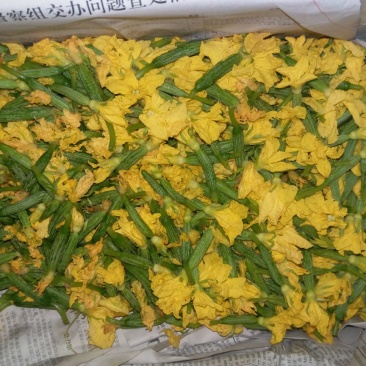黄瓜花
