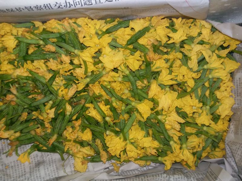 黄瓜花
