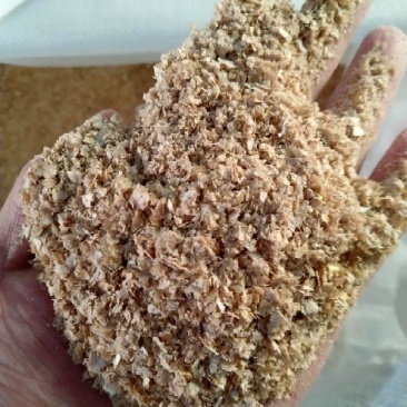麸皮饲料