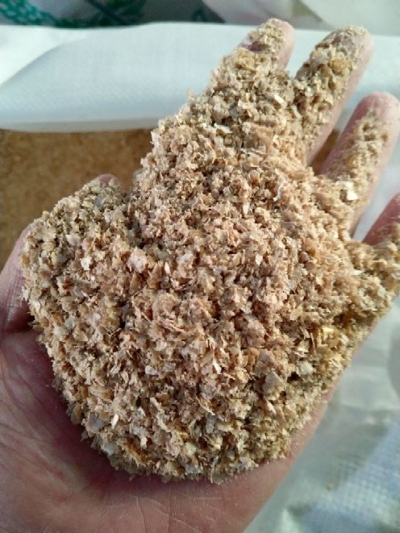 麸皮饲料