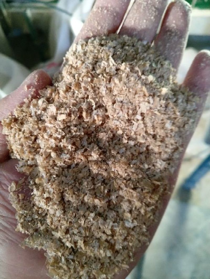 麸皮饲料