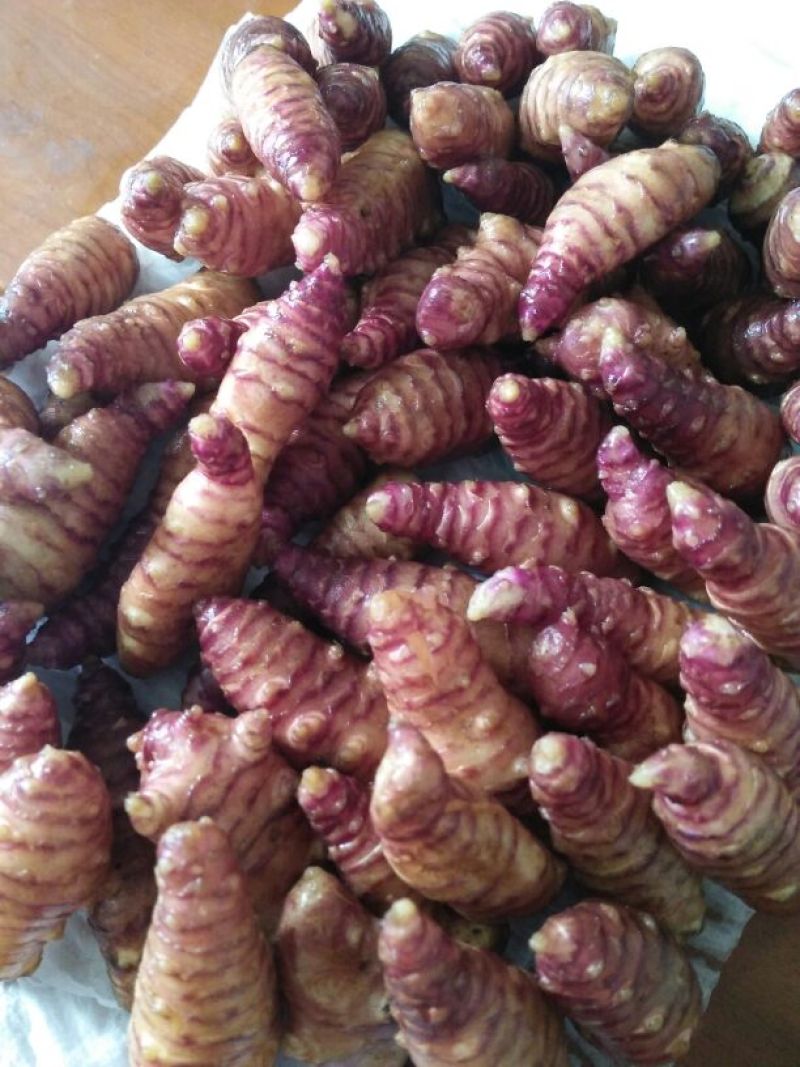 菊芋1~1.5两
