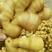产地大黄姜，小黄姜姜种产地批发，代存生姜全国发货保质保量