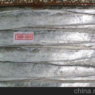 毛刀鱼食用冻鱼