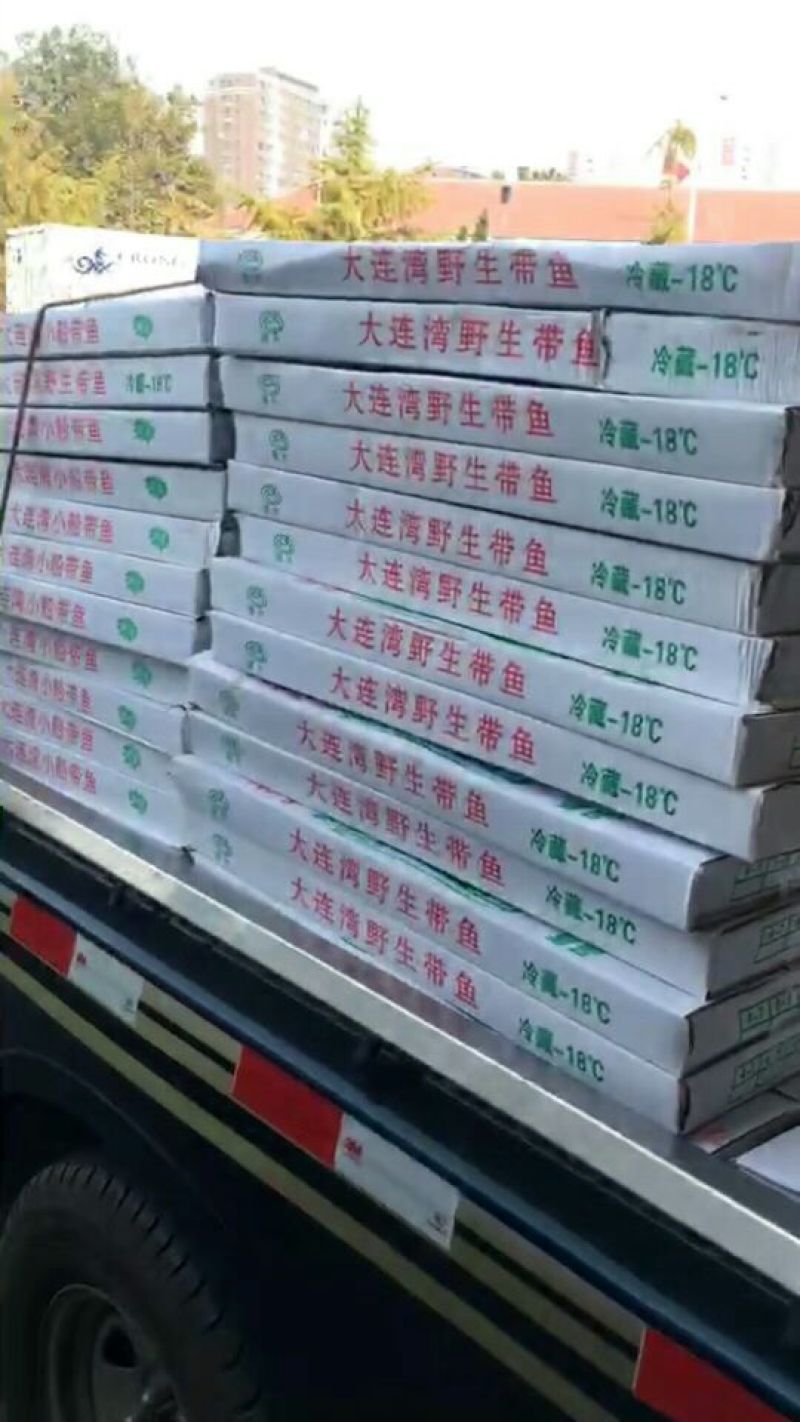 刀鱼食用冻鱼