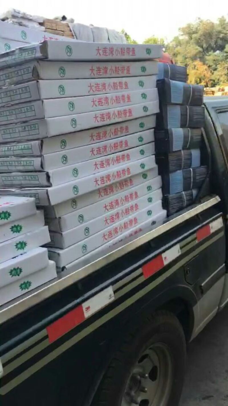 刀鱼食用冻鱼