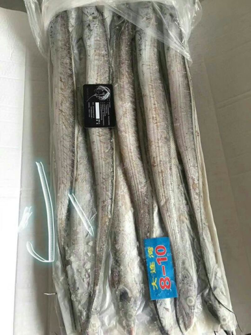 刀鱼食用冻鱼