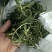 山野菜新鲜山野菜新鲜山菜贡菜叶野菜贡菜头