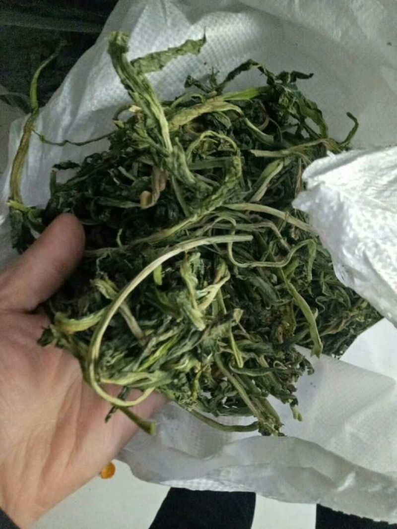 山野菜新鲜山野菜新鲜山菜贡菜叶野菜贡菜头