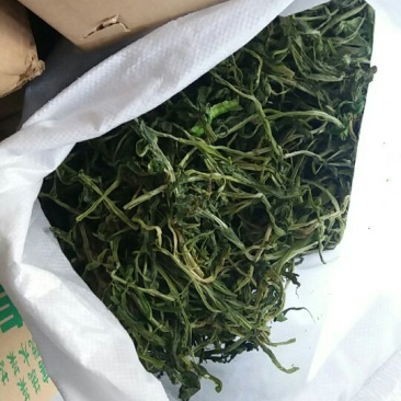 山野菜新鲜山野菜新鲜山菜贡菜叶野菜贡菜头