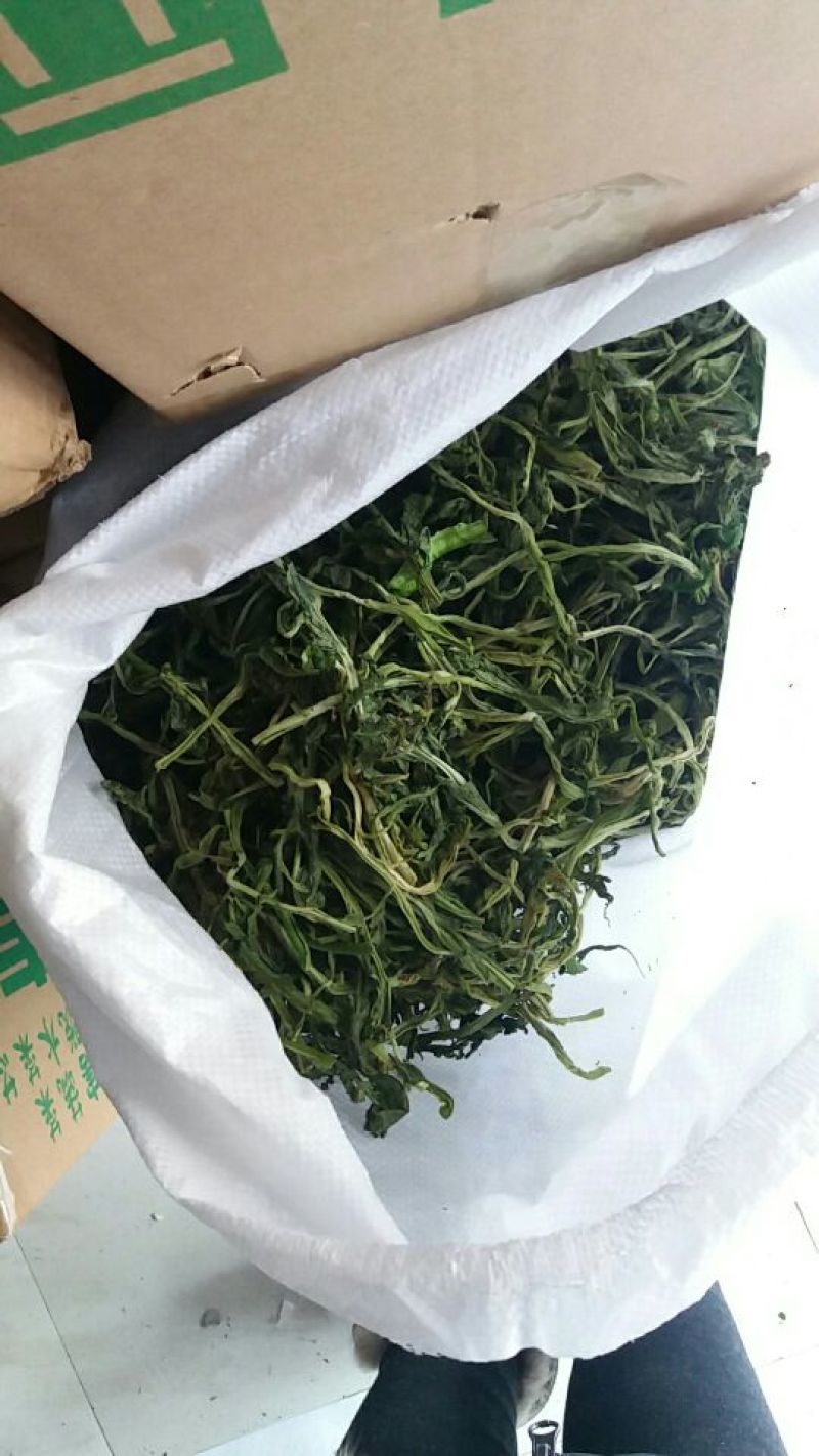 山野菜新鲜山野菜新鲜山菜贡菜叶野菜贡菜头