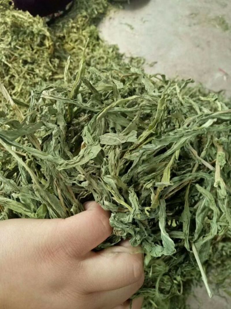 山野菜新鲜山野菜新鲜山菜贡菜叶野菜贡菜头