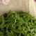荷兰豆饱满11月大量上市