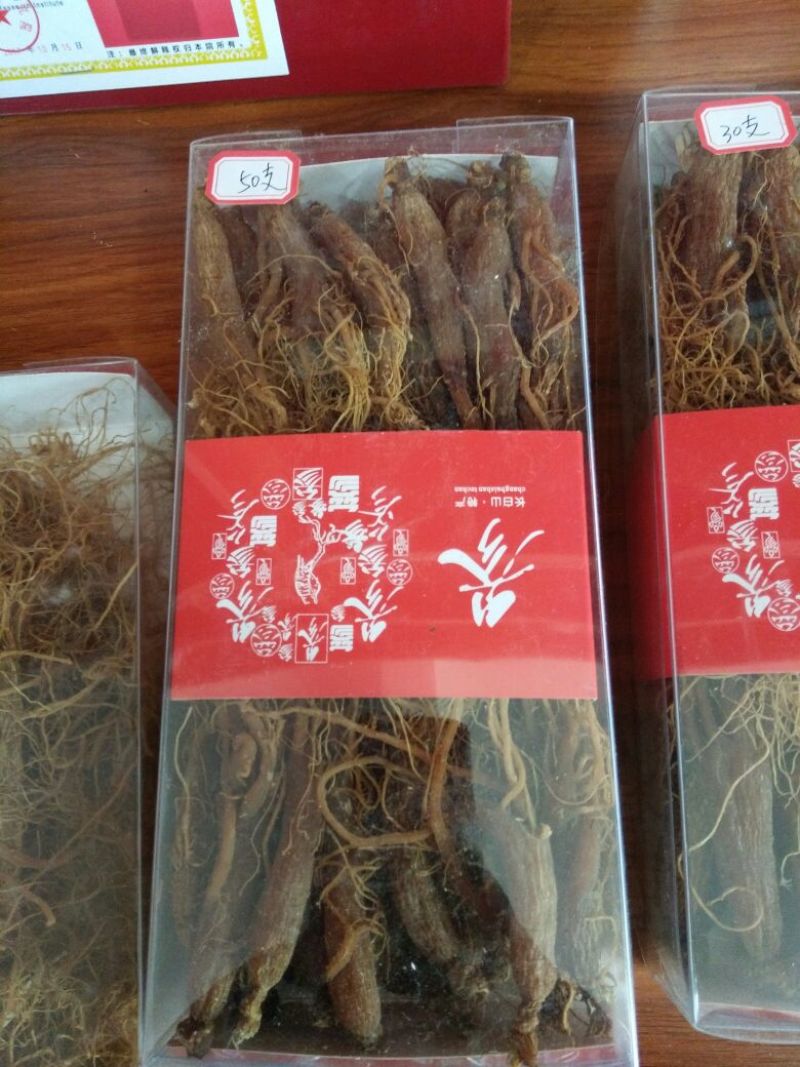 人参干