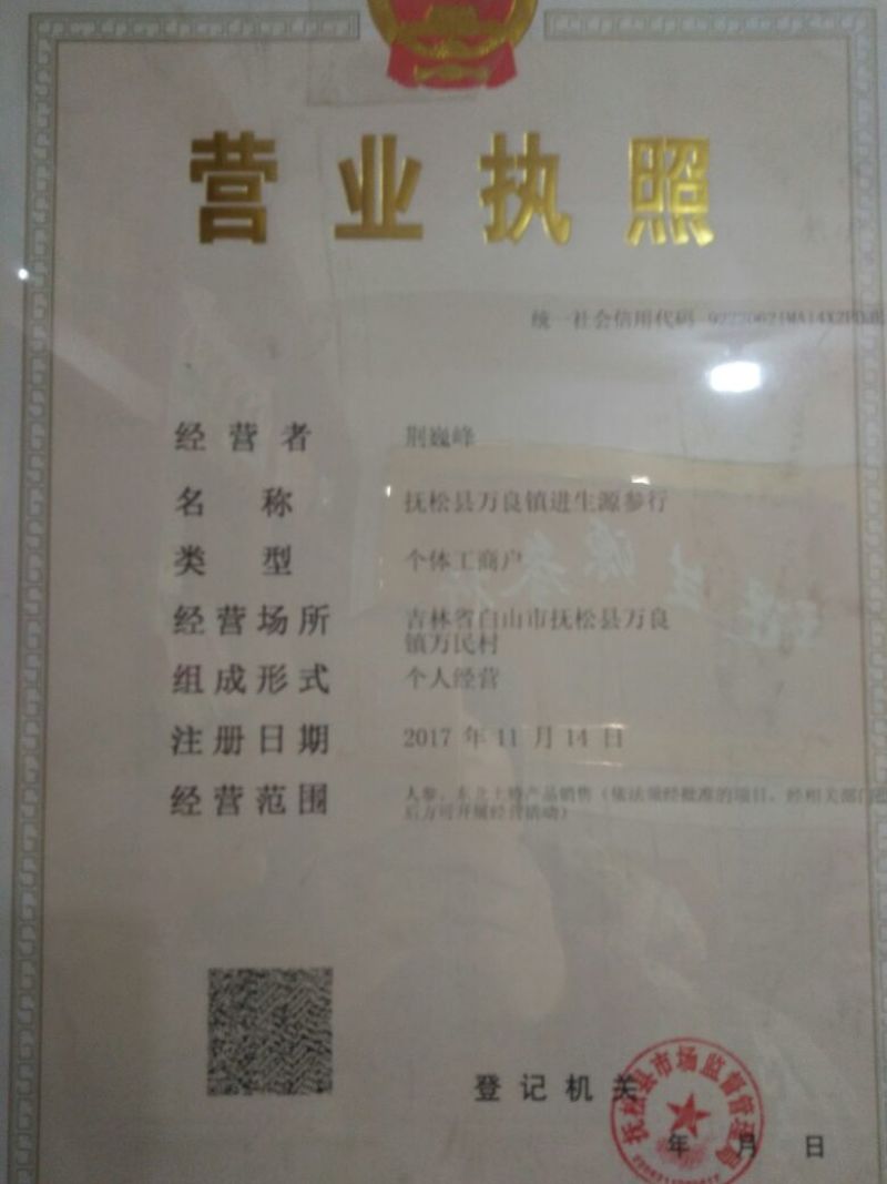 人参干