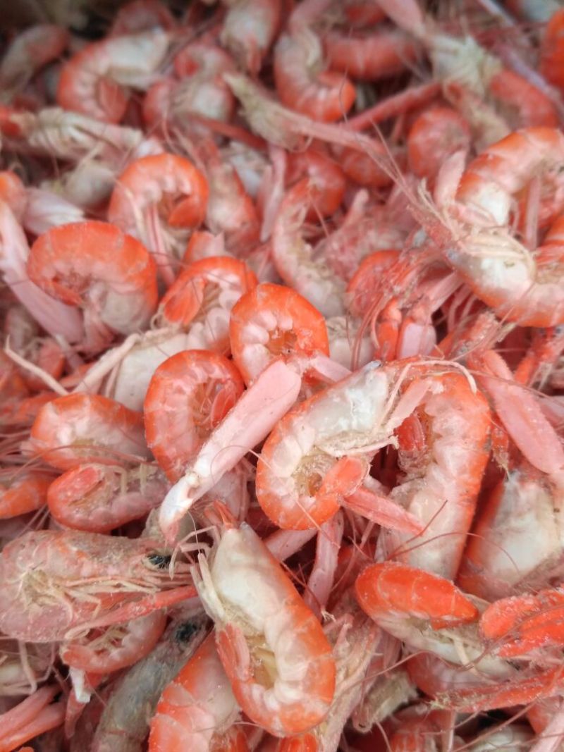 红虾食用冻虾
