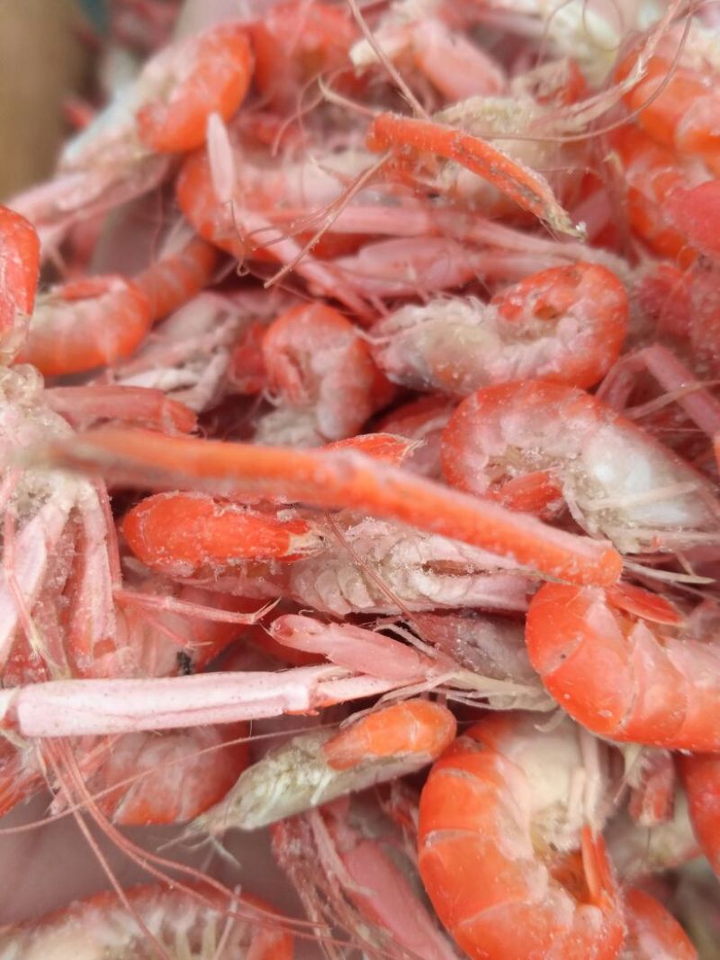 红虾食用冻虾