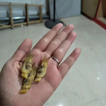 海蛏干一包一斤