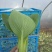小青菜，质量好，青杆大叶面上海青，油菜量大从优