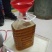 油茶苗10~29cm