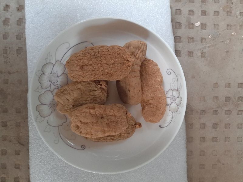 野生天麻小草坝天麻乌天麻