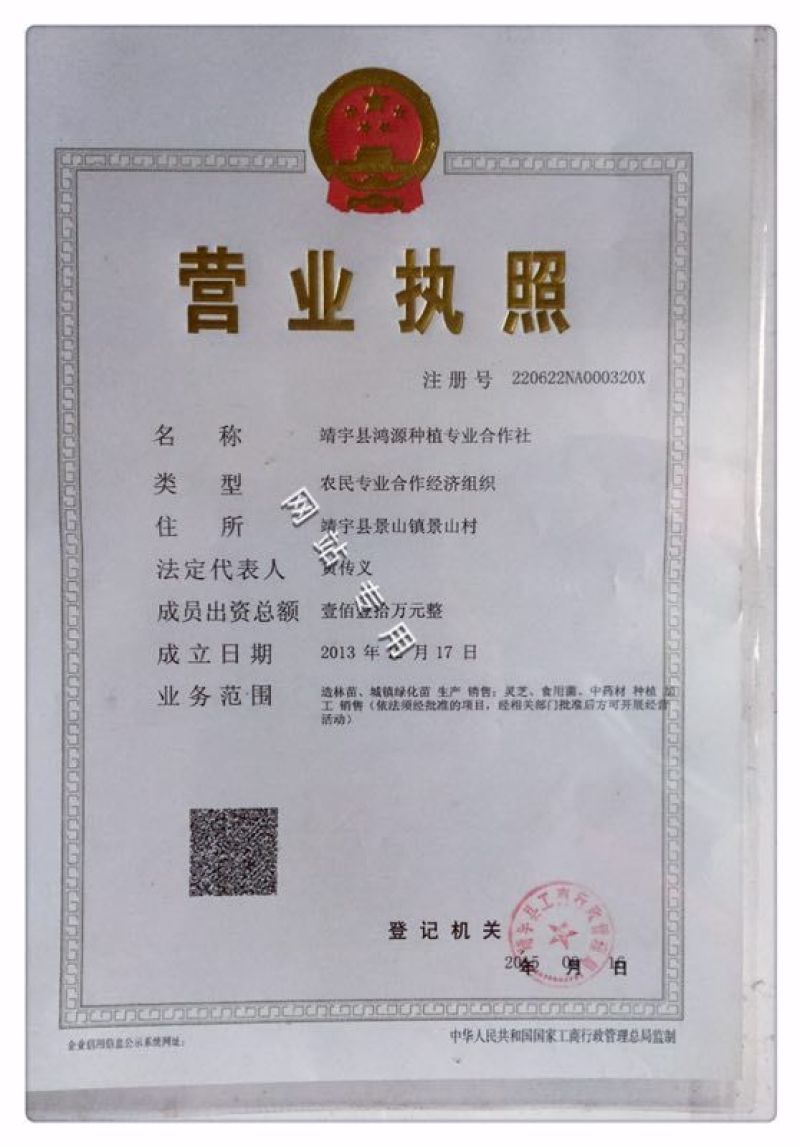 灵芝中药材吉林长白山产地直销12~15公分