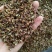 (百万商家)实图拍摄,青花椒特级干.净货量大优惠