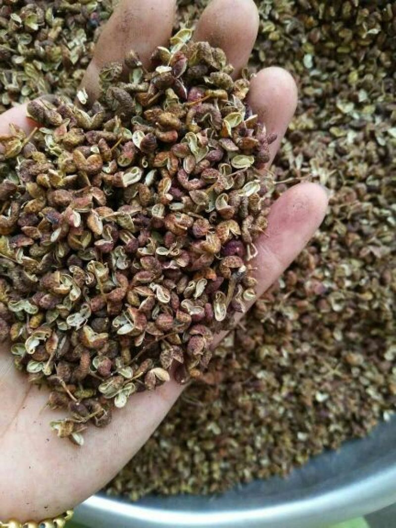(百万商家)实图拍摄，青花椒特级干.净货量大优惠