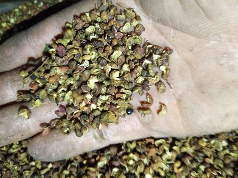 百万商家，实图拍摄山东花椒干早期青新货