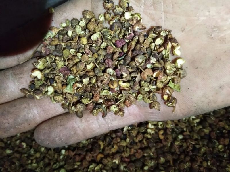 百万商家，实图拍摄山东花椒干早期青新货