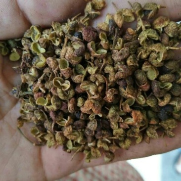 百万商家，实图拍摄山东花椒干早期青新货
