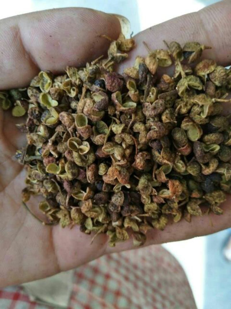 百万商家，实图拍摄山东花椒干早期青新货