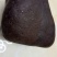 毛石