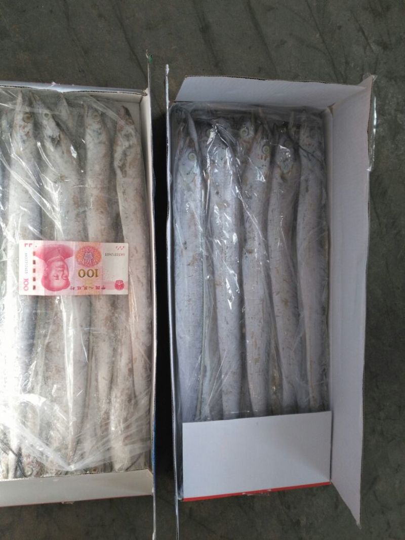 刀鱼食用冻鱼