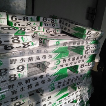 刀鱼食用冻鱼