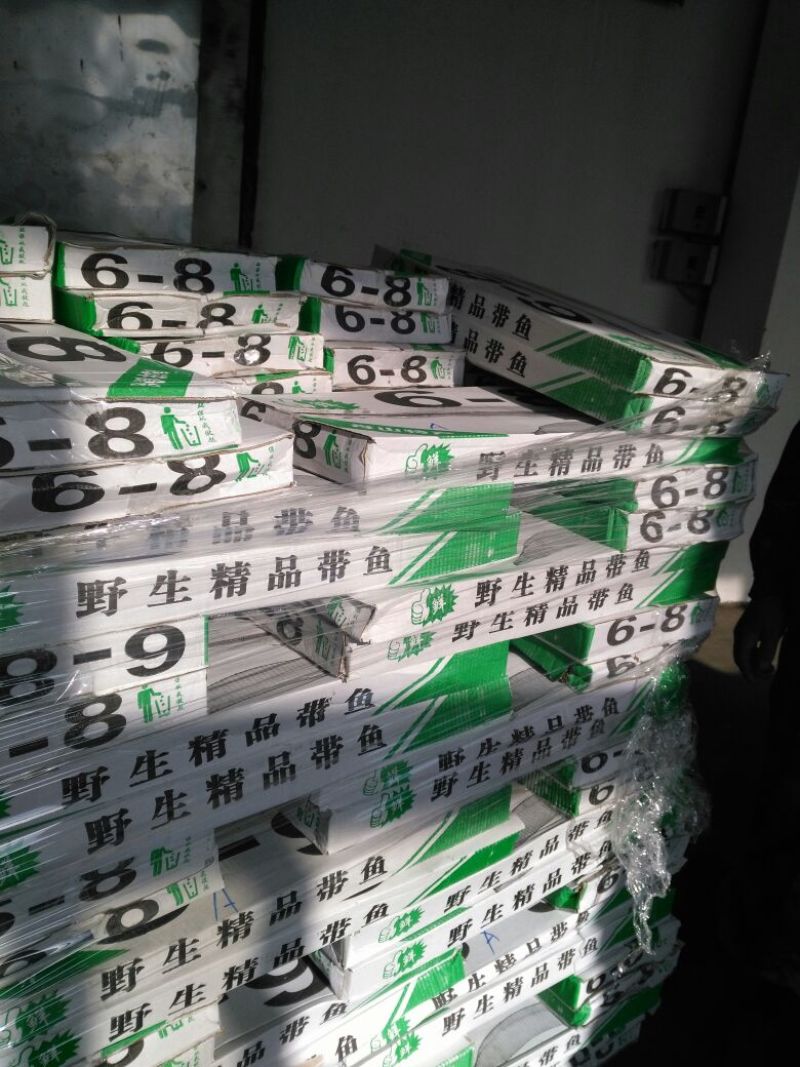 刀鱼食用冻鱼