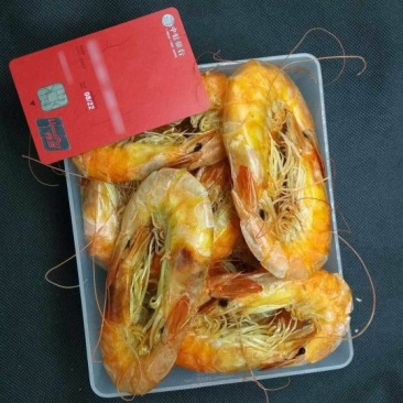 虾干渤海烤虾即食虾干