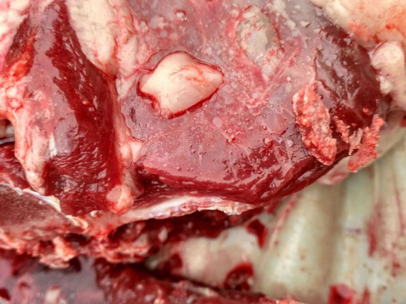 驴肉鲜货