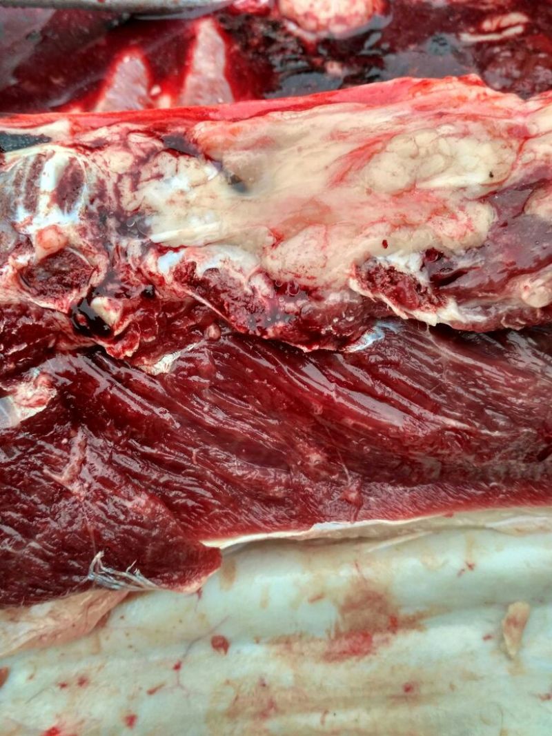 驴肉鲜货